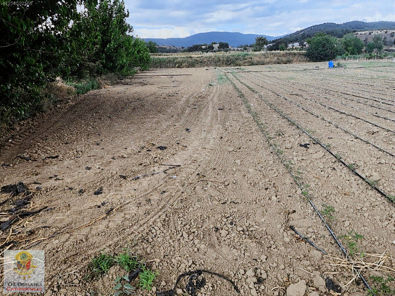 600 M2 NEHİR KENARI RESMİ YOLU OLAN MERKEZE YAKIN TARLA - BİLECİK OSMANELİ fotoğraf 7