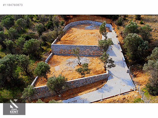 Kemalpaşa Sütçüler Satılık 873 m2 Zeytinlik - İZMİR KEMALPAŞA fotoğraf 19