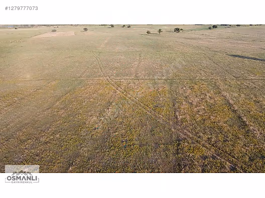 HİSARCIK'TA 4.675 M2 KÖŞE PARSEL YATIRIM FIRSATI - BİLECİK OSMANELİ fotoğraf 15