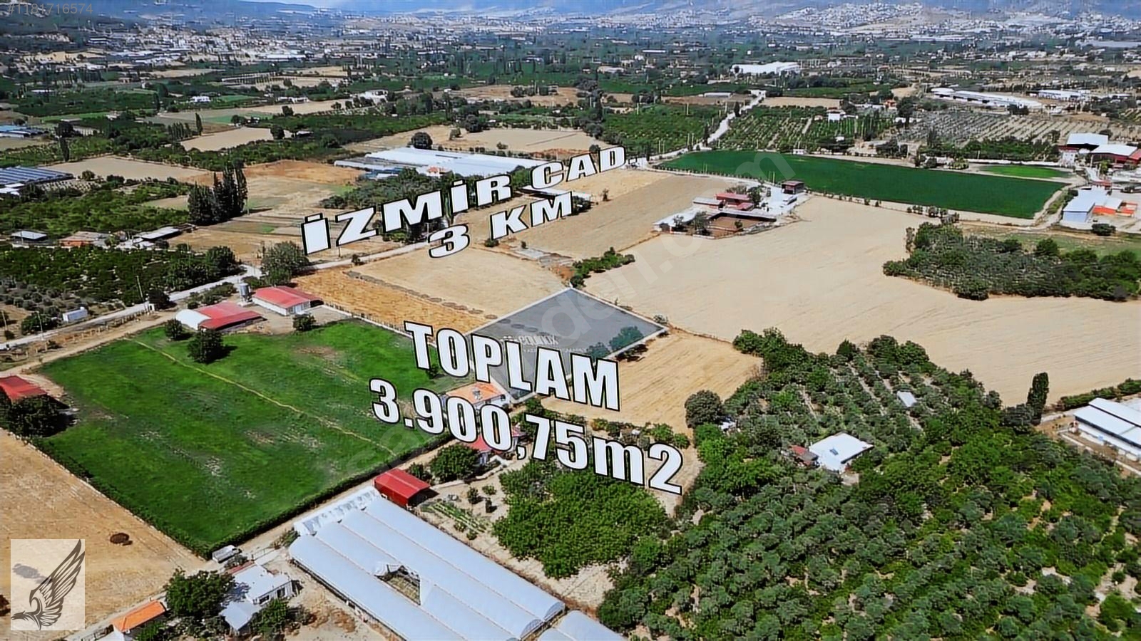 Seferihisar Düzce Ovada 3900 M² Emsalsiz Tarla - İZMİR SEFERİHİSAR fotoğraf 2