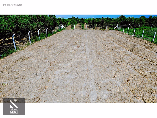 Kemalpaşa Aşağıkızılca Satılık Bahçe 1.200 m2 Tek Tapu - İZMİR KEMALPAŞA fotoğraf 2