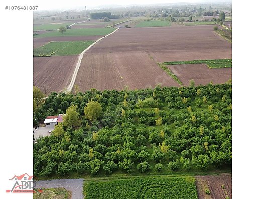 SAKARYA ARİFİYE KEMALİYE KÖYÜNDE 10866M2SATILIK.yıl sonuna kadar - SAKARYA ARİFİYE fotoğraf 4
