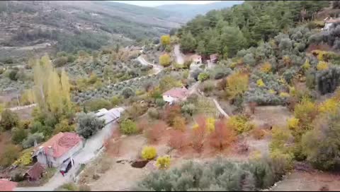 İlan Resmi
