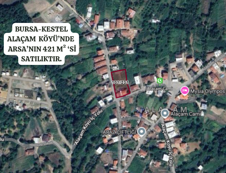 BURSA KESTEL ALAÇAM KÖYÜ'NDE ARSA'NIN 421 M² 'Sİ SATILIKTIR - BURSA KESTEL fotoğraf 2