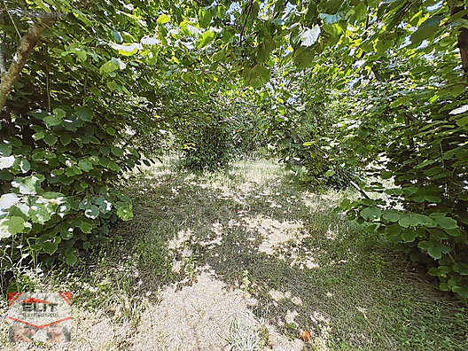 SAKARYA KARASU'DA SATILIK FRSAT KÖY İÇİNDE 635 metre² KUPON ARSA - SAKARYA KARASU fotoğraf 36