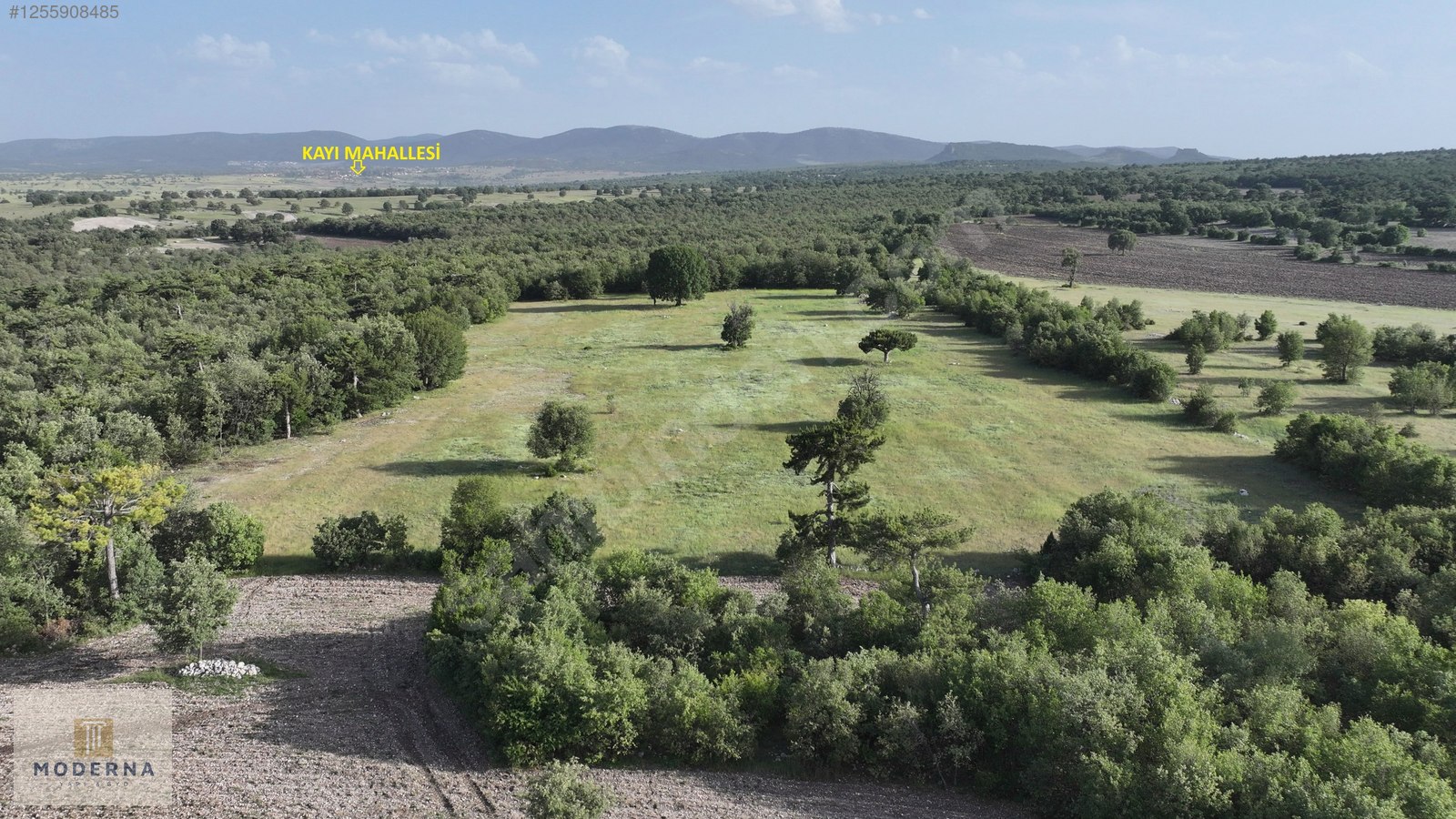 ESKİŞEHİR 20650 M2 TEK TAPU ORMANA CEPHE HALI GİBİ EMSALSİZ ARSA - ESKİŞEHİR HAN fotoğraf 4