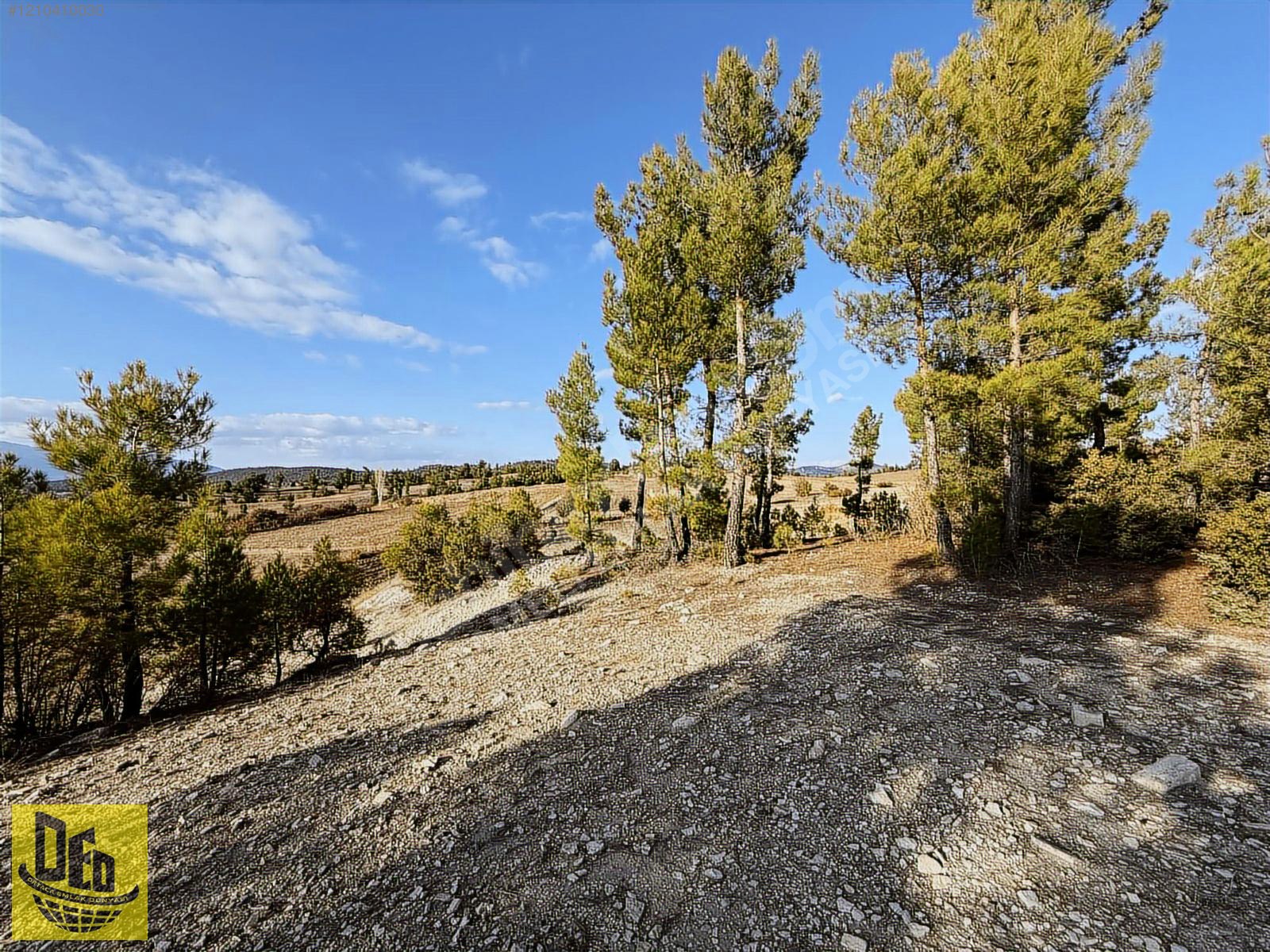 ÇAMELİ GÜZELYURT 4 CEPHE MANZARALI 4.773m2 KUPON TARLA - DENİZLİ ÇAMELİ fotoğraf 7