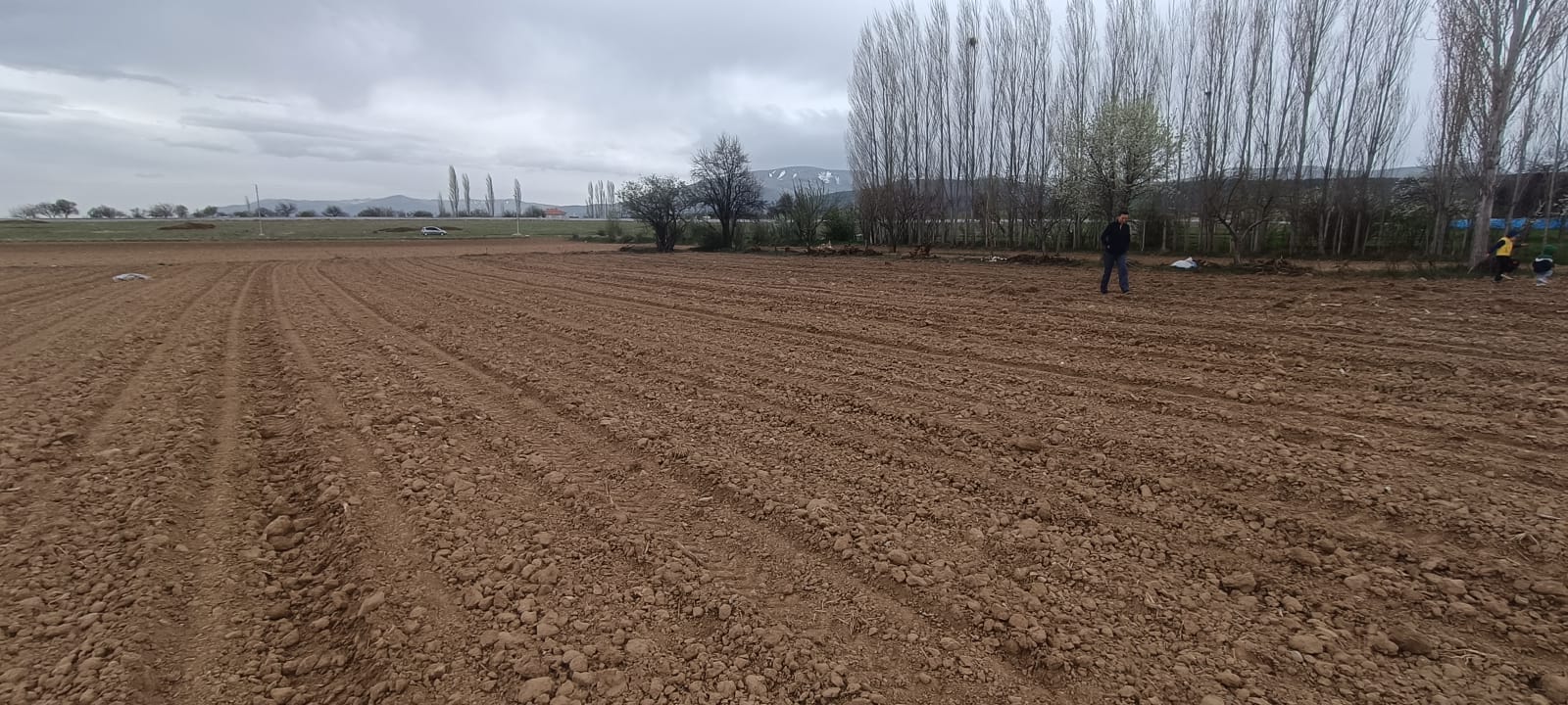 İlan Resmi