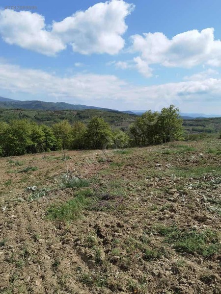 BURSA İZNİK TACİR KÖYÜNDE 13.056 M TARLA SATILIKTIR - BURSA İZNİK fotoğraf 7