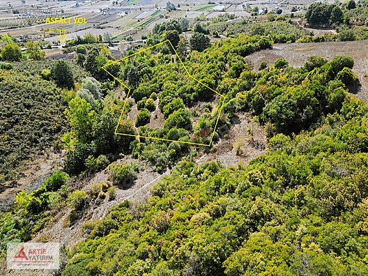 ÇALKÖY'DE SEYREK PLAJINA 5 DK MESAFEDE SATILIK 2389 M2 TARLA - KOCAELİ KANDIRA fotoğraf 3