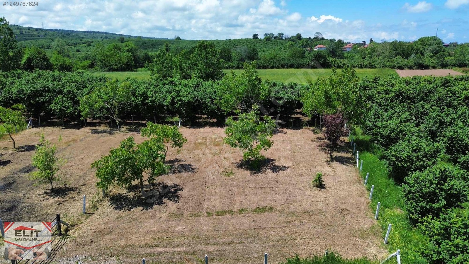 KARASU KUYUMCULUDA SATILIK 463 M2 FIRSAT ARSA - SAKARYA KARASU fotoğraf 35