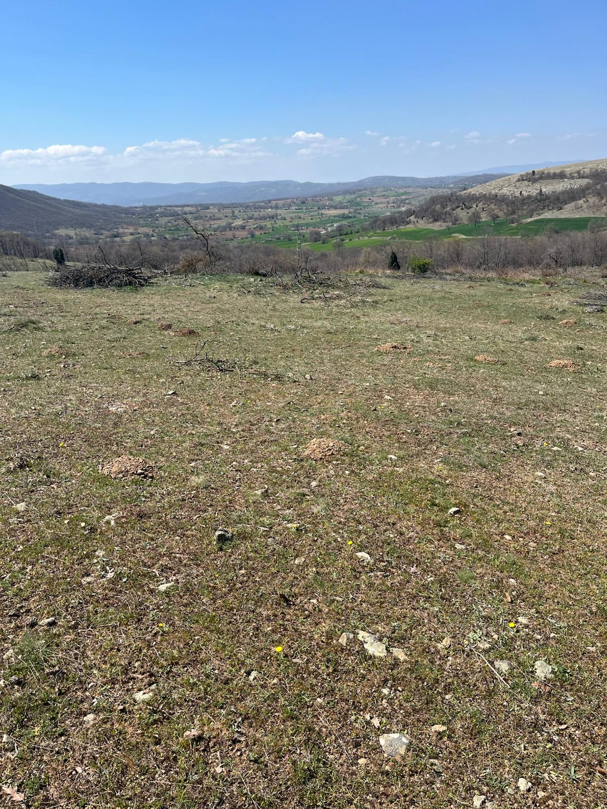 Sahibinden Bilecik Bozüyük tarla 4250 m ACİLL SATILIK - BİLECİK BOZÜYÜK fotoğraf 7