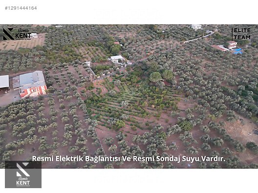 Kemalpaşa Çınar Satılık 8.507 m2 Bahçe - İZMİR KEMALPAŞA fotoğraf 23