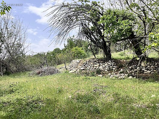   Karaman / Ermenek / Yalındal Köyü 809M² BAHÇE SATILIKTIR.  - KARAMAN ERMENEK fotoğraf 3