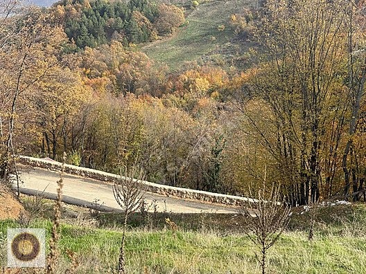 KESTEL LÜTFIYE MH SATILIK 1806M2 TARLA ASVALT YOLA CEPHE - BURSA KESTEL fotoğraf 35
