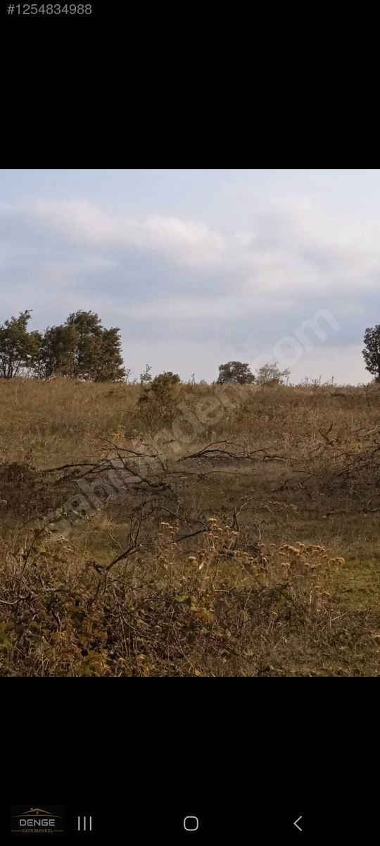 Denge Gayrimenkul BALIKESİR SUSURLUK GÜRECE'DE YATIRIMLIK ARAZİ - BALIKESİR SUSURLUK fotoğraf 7