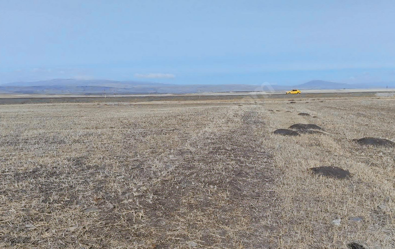 KARS SUSUZ İNCESU  KÖYÜNDE 12.850 M²  TARLAMIZ  SATILIKTIR - KARS SUSUZ fotoğraf 4