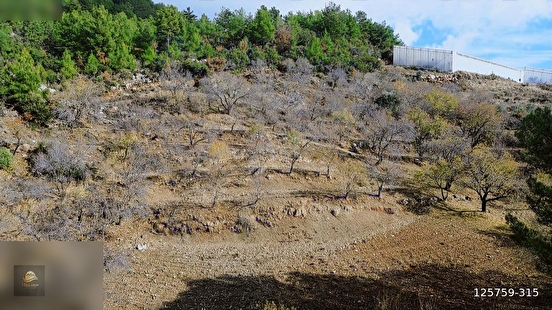 ANAMUR ÇATALOLUK SATILIK 5800 M2 TARLA - MERSİN ANAMUR fotoğraf 3