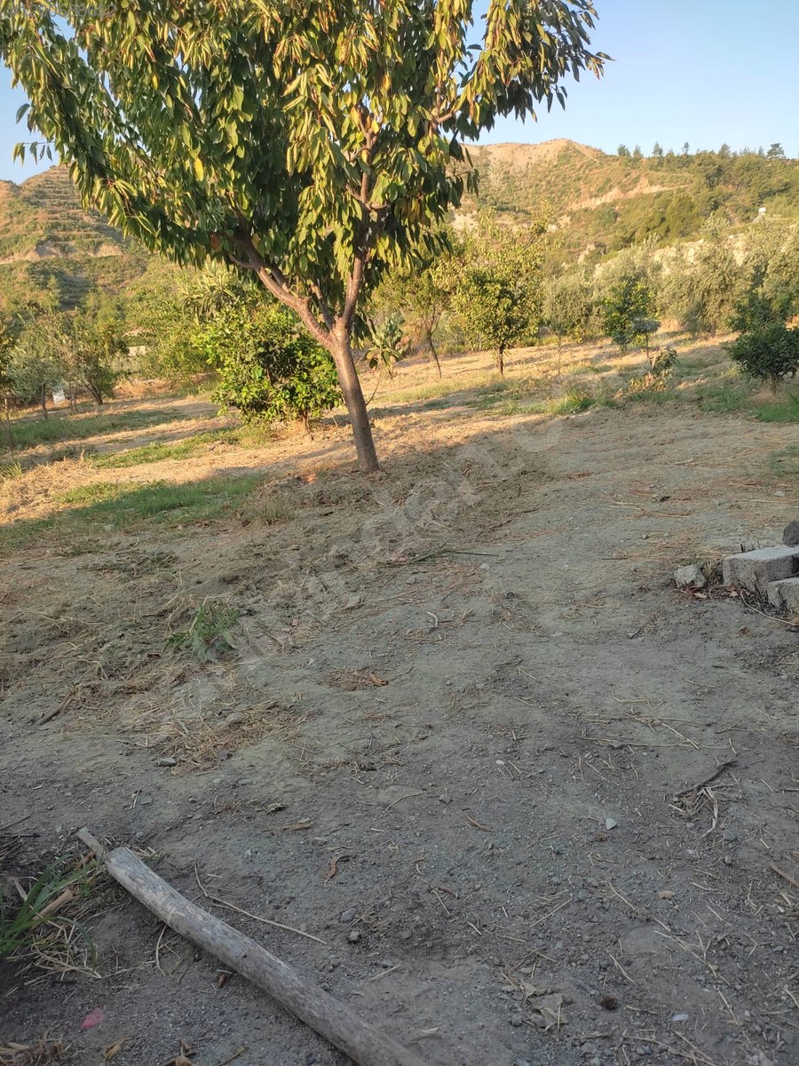 KARLISU'DA TERCİH EDİLEN BÖLGEDE MASRAFSIZ SAHİBİNDEN ARSA 1.180 M² - HATAY ANTAKYA fotoğraf 10