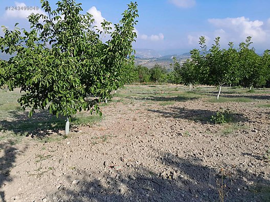 BURSA KELEŞ BELENÖREN'DE 5.270  M² BAHÇE SATILIKTIR - BURSA KELES fotoğraf 15