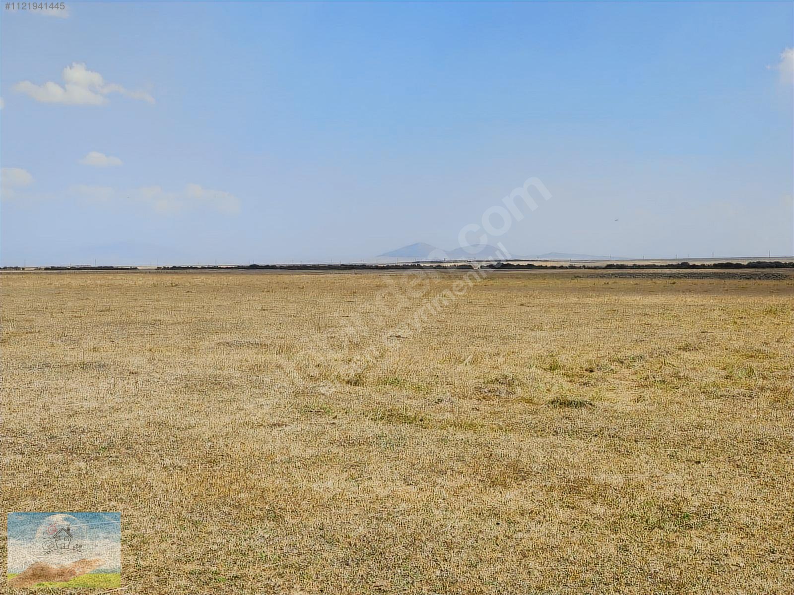 KARS SELİM CUMHURİYET KÖYÜNDE 5.085 M² TARLAMIZ SATILIKTIR. - KARS SELİM fotoğraf 2