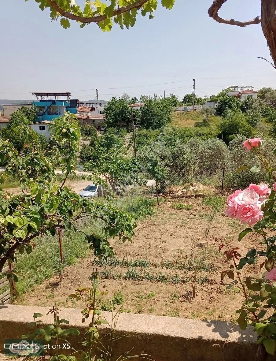 İzmir Torbalı Çamlıca Köyünde Köy Evi - İZMİR TORBALI fotoğraf 10