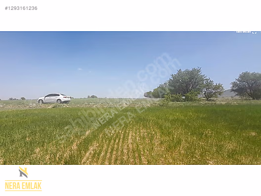 ÇUMRA İLÇE YAKINI KADASTRO YOL CEPHELİ TEK TAPU 2.532 m2 TARLA - KONYA ÇUMRA fotoğraf 3