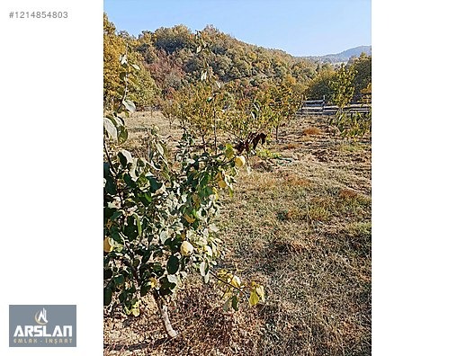 ARSLAN EMLAK'TAN İNEGÖL ÇİTLİDE SATILIK HOBİ BAHÇESİ - BURSA İNEGÖL fotoğraf 4