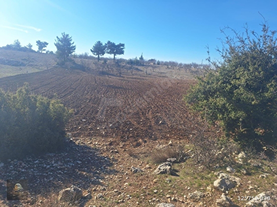 GÜLNAR SARAY MAHALLESİNDE SATILIK 10500 M2 TARLA - MERSİN GÜLNAR fotoğraf 9