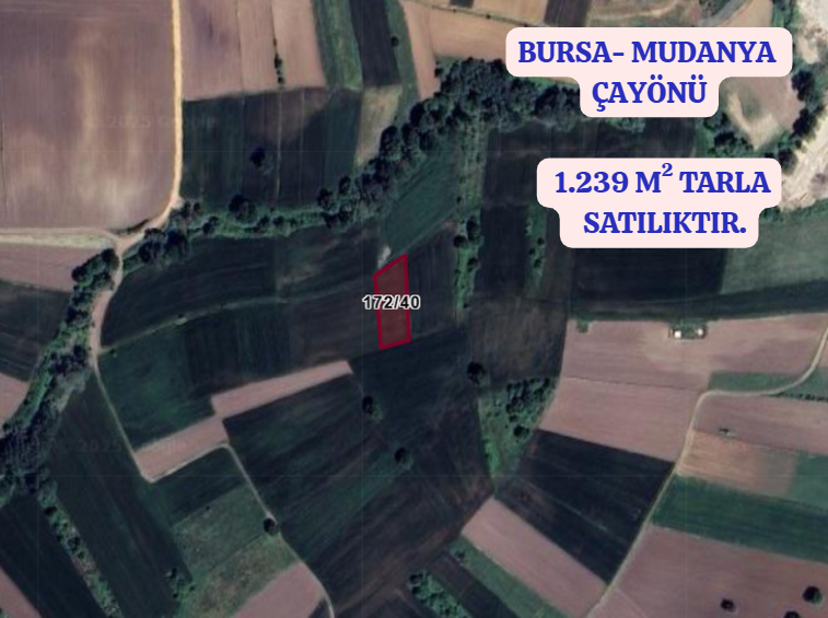 BURSA MUDANYA ÇAYÖNÜ KÖYÜNDE1.239 M² TARLA SATILIKTIR. - BURSA MUDANYA fotoğraf 2