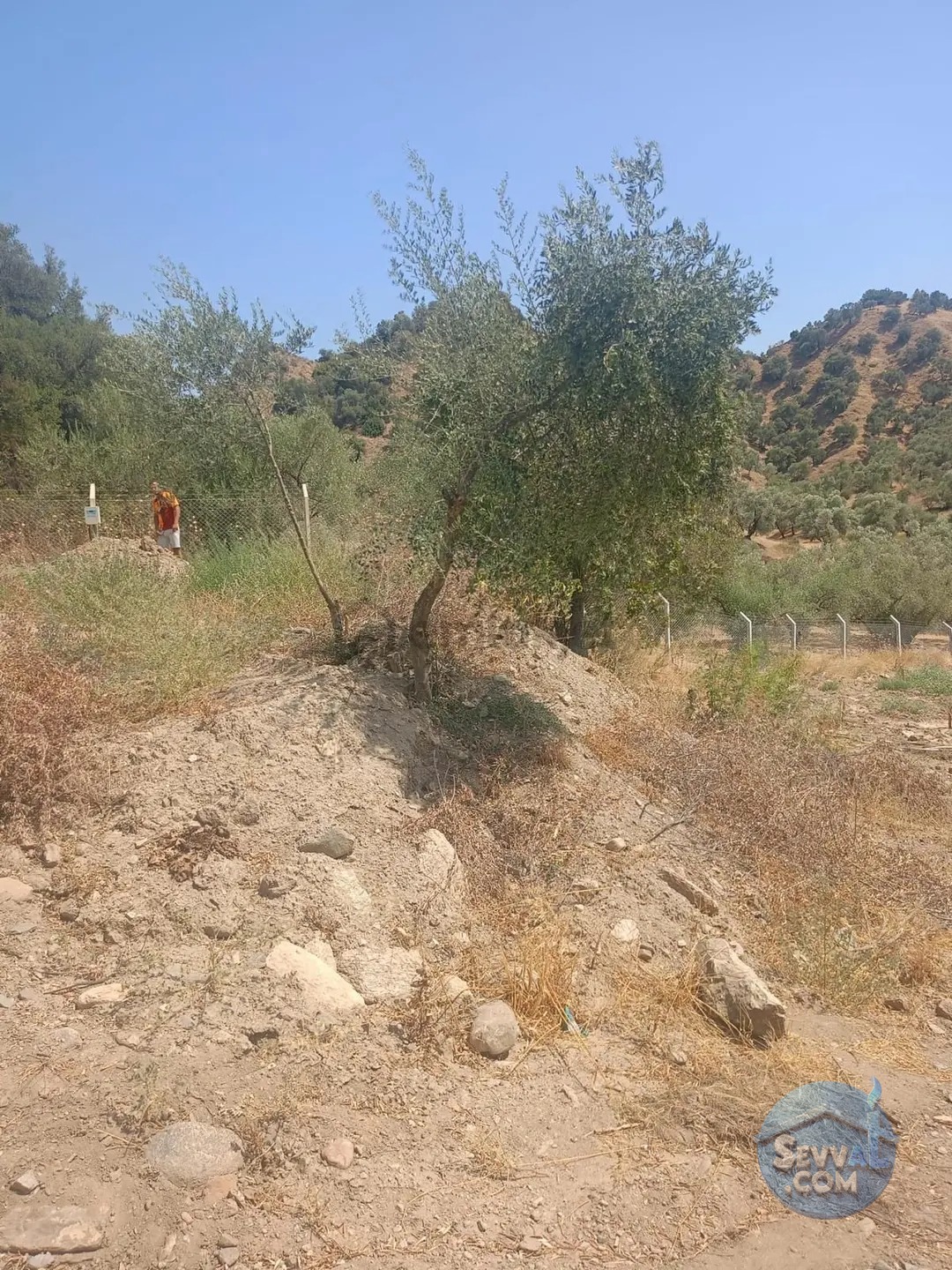 Sultanhisar Yağdere De 2 Yol Cepheli İmarlı Bahçe - AYDIN SULTANHİSAR fotoğraf 18