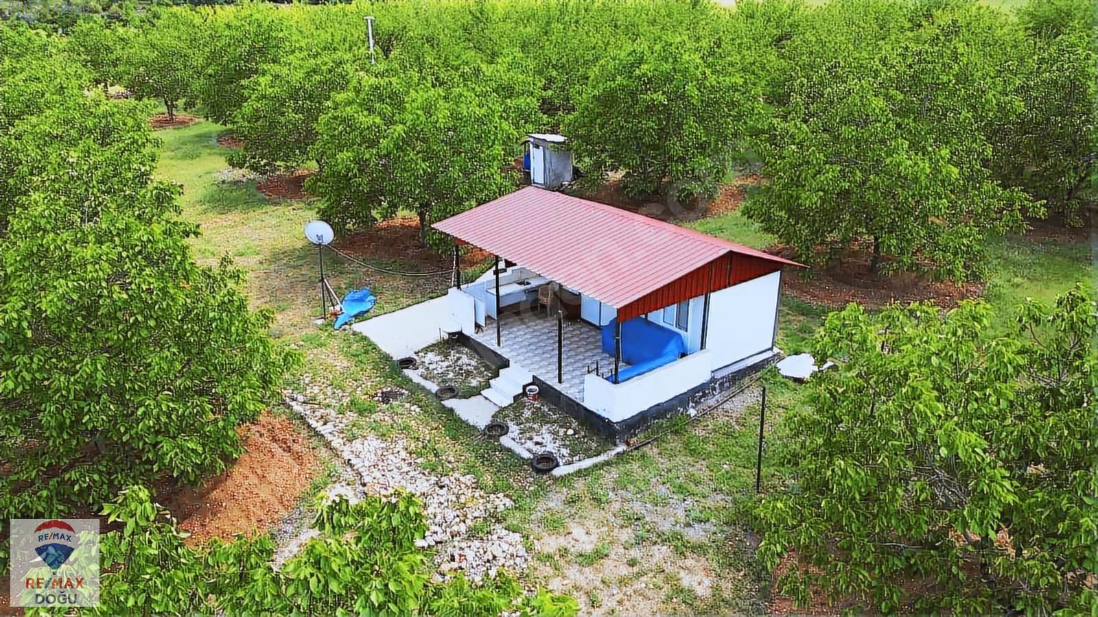 REMAX DOĞUDAN EKRÜZDE SATILIK CEVİZ BAHÇESİ - ELAZIĞ MERKEZ fotoğraf 7