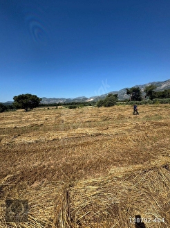 FETHİYE PATLANGICTA SATILIK TARLA 1850 m² KÖŞE PARSEL - MUĞLA FETHİYE fotoğraf 7