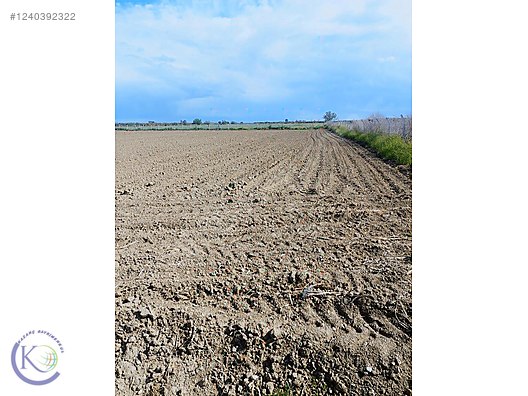 TARSUS MAHMUTAĞA KÖYÜ'NDE SATILIK 8.500 m TARLA - MERSİN TARSUS fotoğraf 4