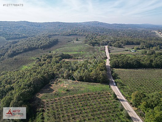 ÜNLÜ SARDALA KOYU'NA 8 DK MESAFEDE ASFALT CEPHELİ 2523 M2 TARLA - KOCAELİ KANDIRA fotoğraf 3
