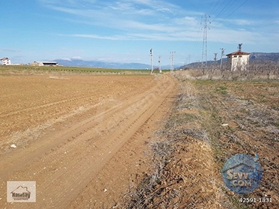 Ticari Tarla Acil Satılık - ANTALYA KORKUTELİ fotoğraf 49