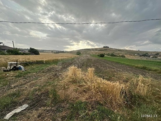 KUZUÇARDAĞI KÖYÜNDE 2245 M2 MÜSTAKİL TAPU %60 İMARLI ARSA - KIRKLARELİ BABAESKİ fotoğraf 18