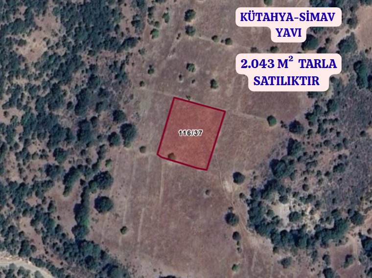 KÜTAHYA SİMAV YAVI   KÖYÜNDE 2.043 M² TARLA  SATILIKTIR - KÜTAHYA SİMAV fotoğraf 2