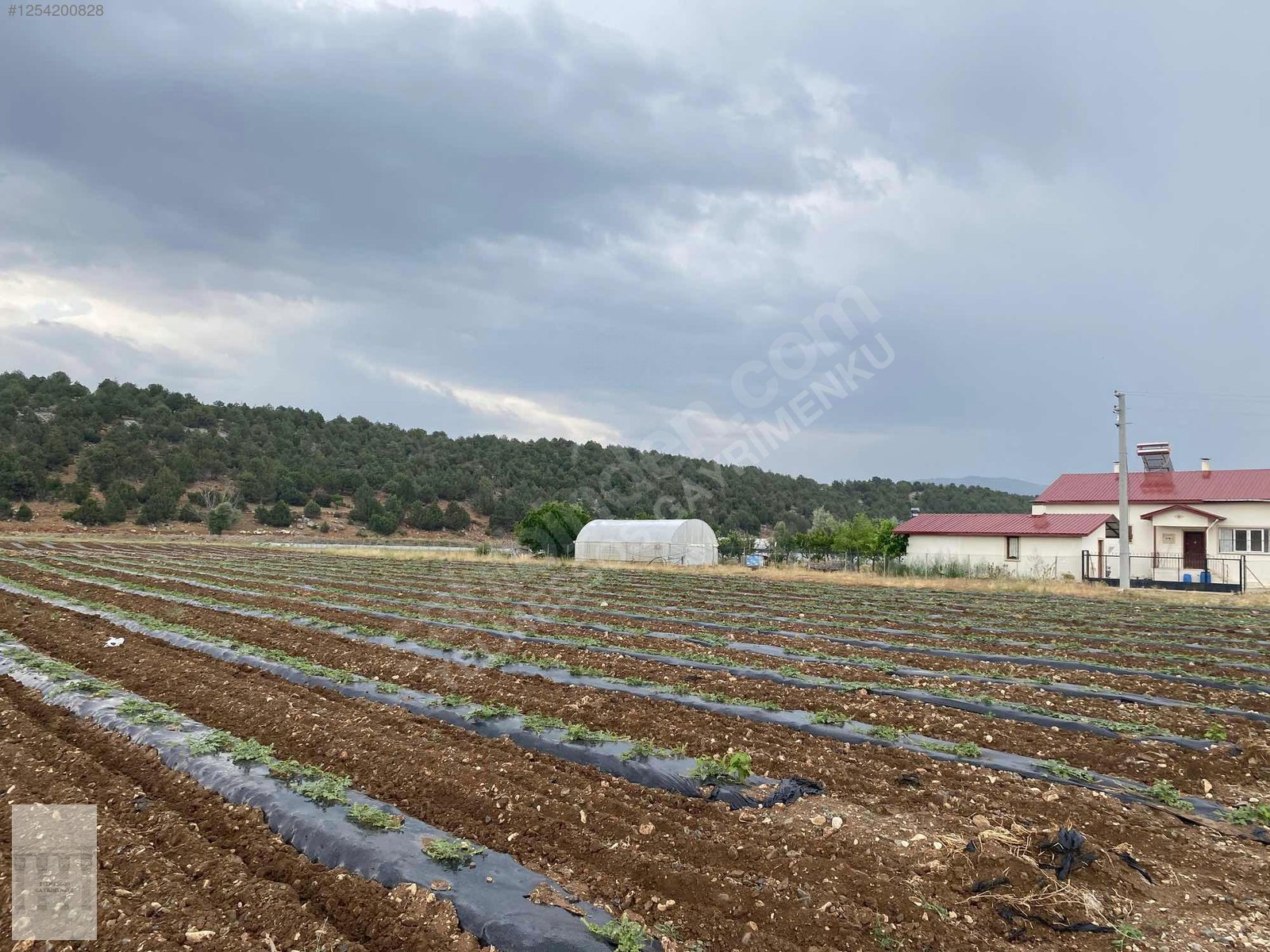 Yayla karaçulhada problemsiz ev için uygun tarla - MUĞLA SEYDİKEMER fotoğraf 2