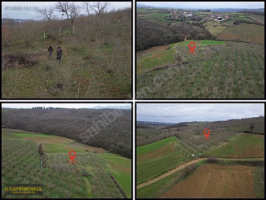 Ferizli Hocaoğlu'nda Satılık 2400 m² Fındık Bahçesi - SAKARYA FERİZLİ fotoğraf 34
