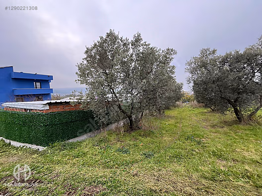 BÖLGE UZMANI HAS EMLAK DENİZ MANZARALI FIRSAT HOBİ BAHÇESİ - BURSA MUDANYA fotoğraf 13