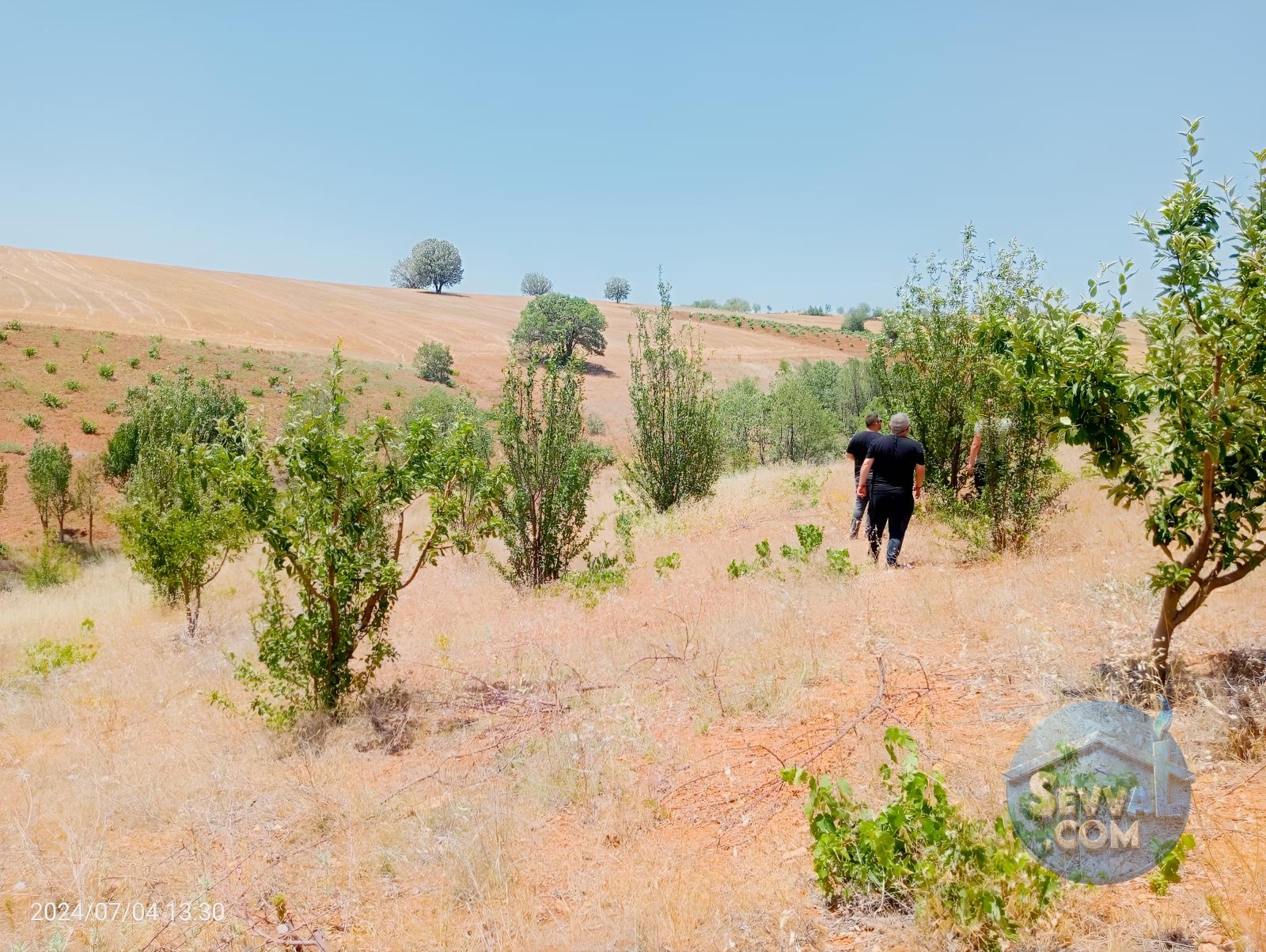 KARAMAN MERKEZ MURATDEDE KÖYÜNDE 3.472 M² BAĞ SATILIKTIR - Karaman Merkez fotoğraf 6
