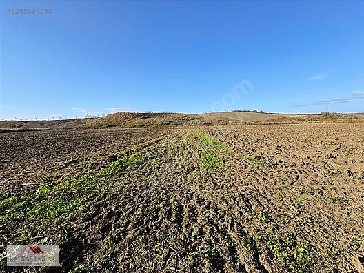 OVAAZATLI 930 M2 TARLA - BURSA MUSTAFAKEMALPAŞA fotoğraf 7