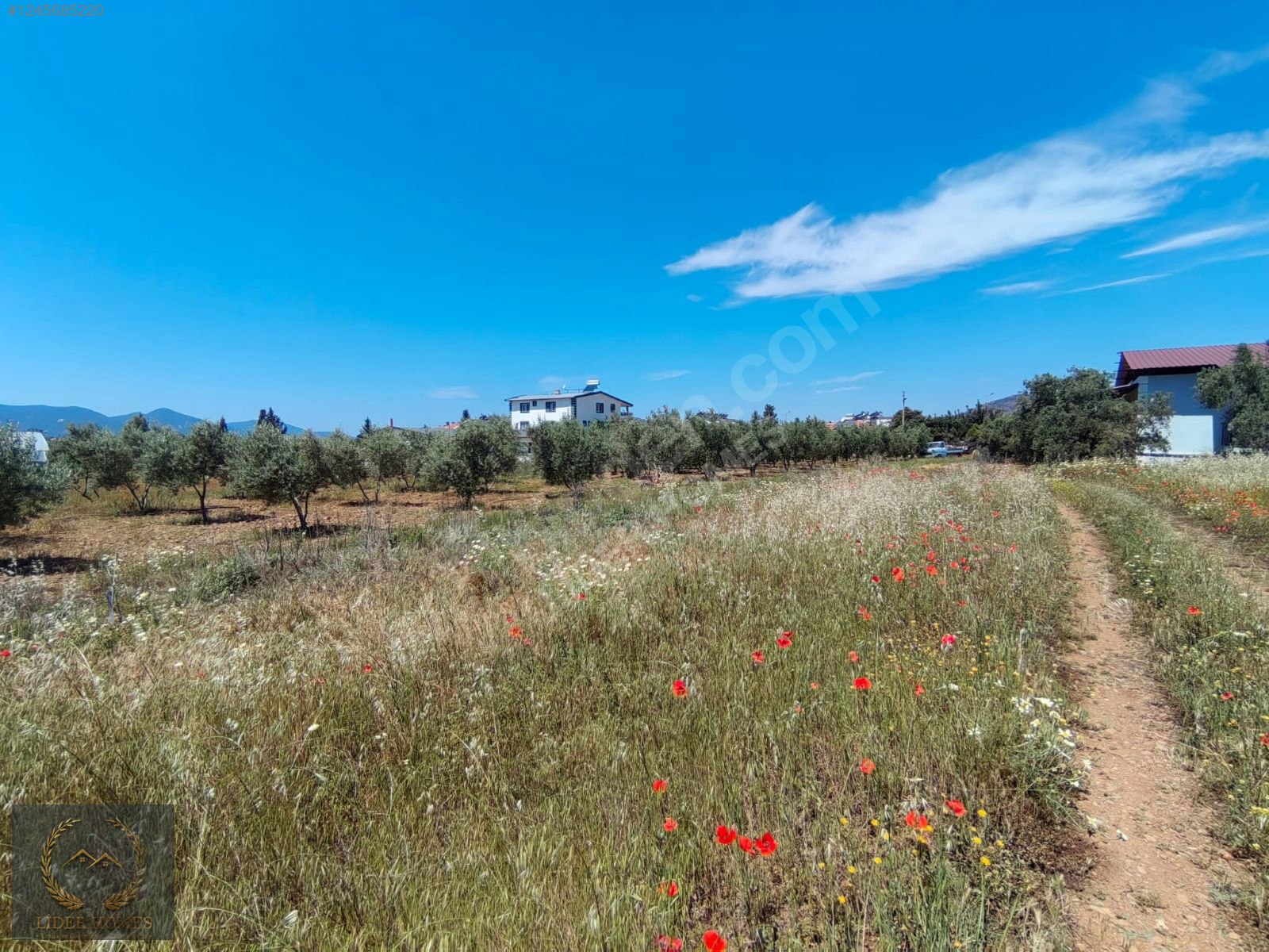 FETHİYE ÇAMKÖY DE %25 İMARLI ARSA 300 M - MUĞLA FETHİYE fotoğraf 4