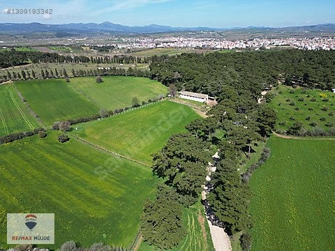 Çanakkale Bayramiç Kutluoba Satılık Tarla - ÇANAKKALE BAYRAMİÇ fotoğraf 2