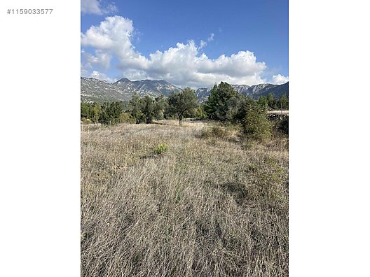 Antalya / Akseki / Erenyaka Mahallesinde  1.551 m² SATILIK ARSA  - ANTALYA AKSEKİ fotoğraf 3