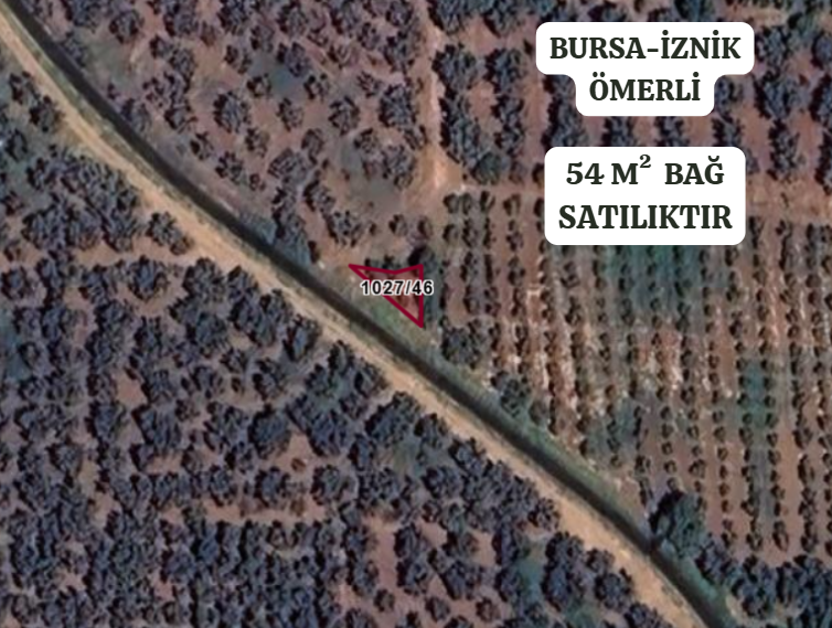 BURSA İZNİK ÖMERLİ  KÖYÜNDE 54 M² BAĞ  SATILIKTIR - BURSA İZNİK fotoğraf 2