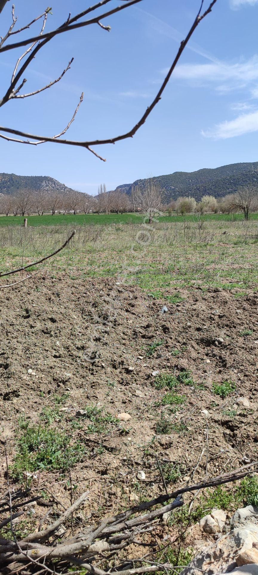 Acil Satılık !!! Burdur Ağlasun Hisarköy Muhteşem Konumda Tarlalar - BURDUR AĞLASUN fotoğraf 5