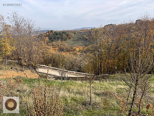 KESTEL LÜTFIYE MH SATILIK 1806M2 TARLA ASVALT YOLA CEPHE - BURSA KESTEL fotoğraf 2