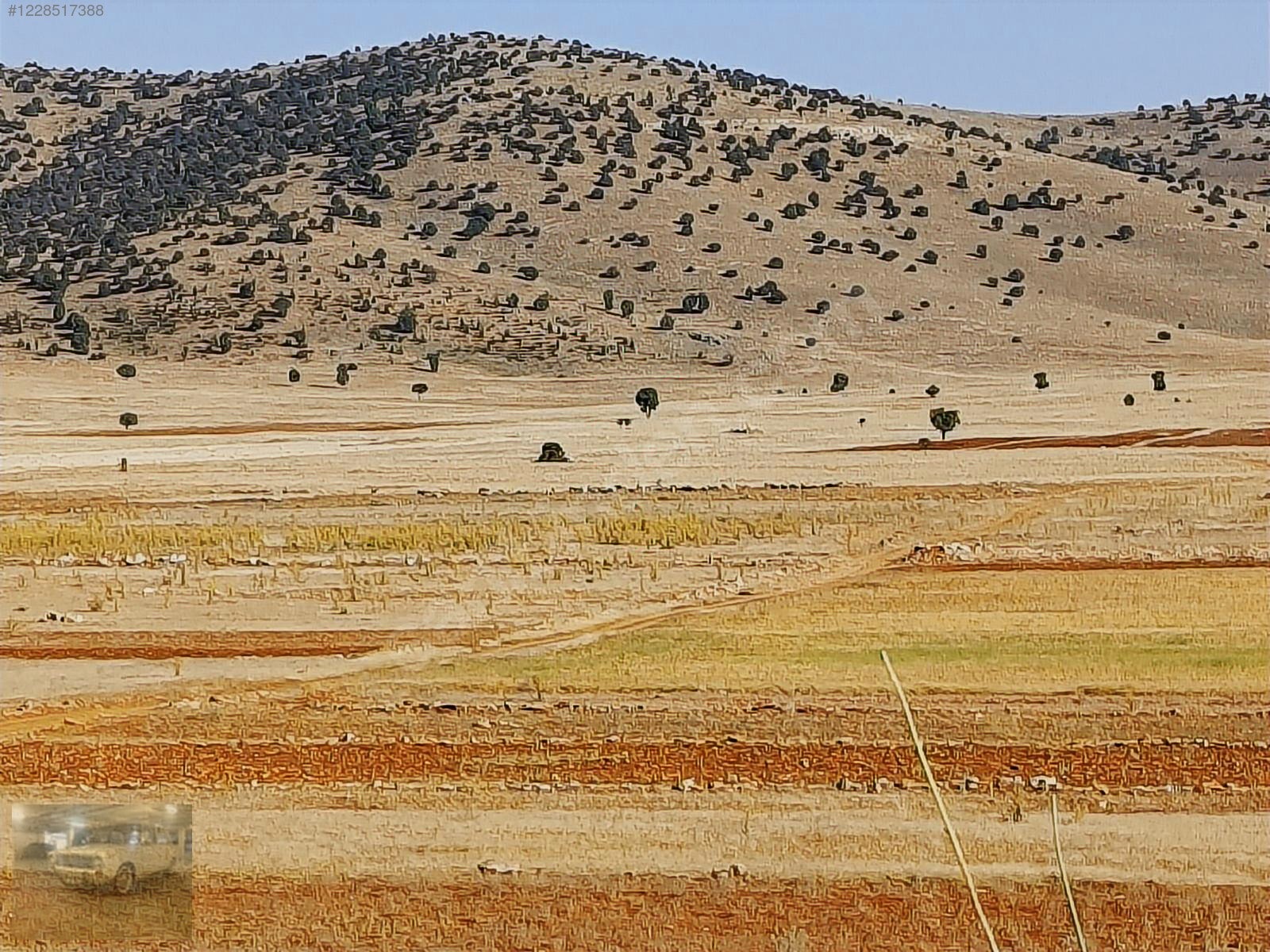 acil.Korkuteli sımandırda.sanayi arsalarına komşu2382m tarla - ANTALYA KORKUTELİ fotoğraf 16